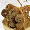 Xueshen Natural dried high quality Meconopsis horridula roots