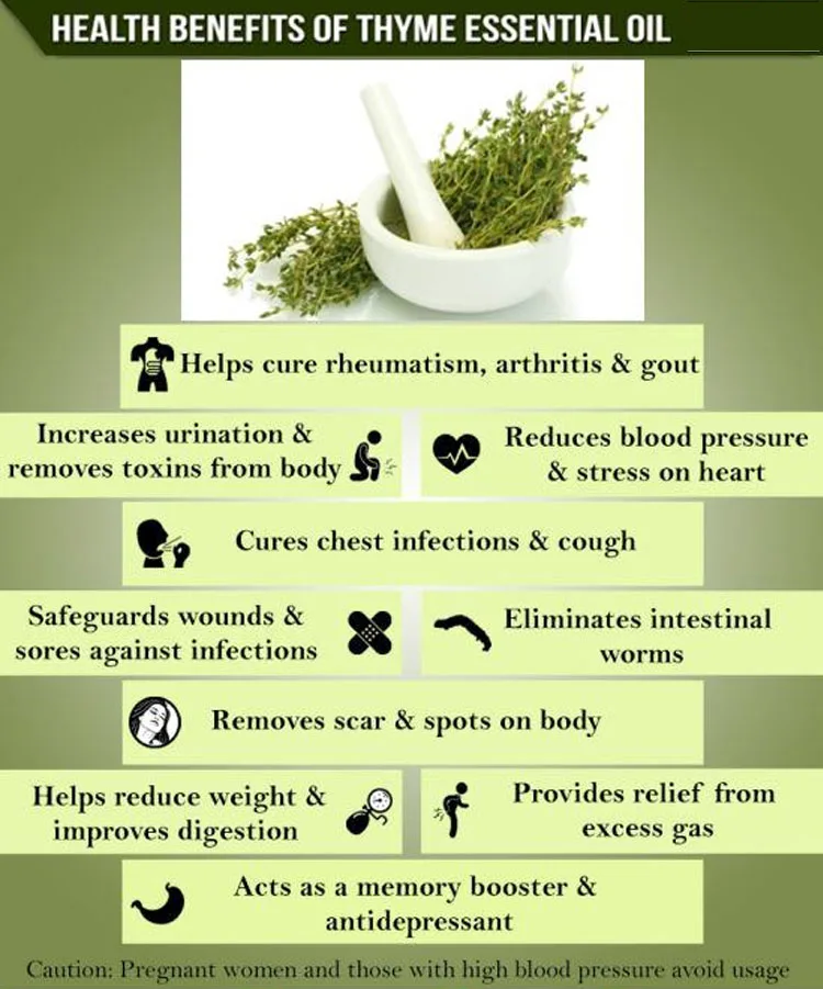 Thyme Extract Thyme Oil Buy Thyme Oil,Thyme Extract,Thyme Essential