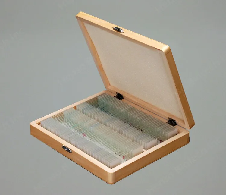 Microscope Glass Slide Storage Wooden Box Buy Glass Slide Storage Box