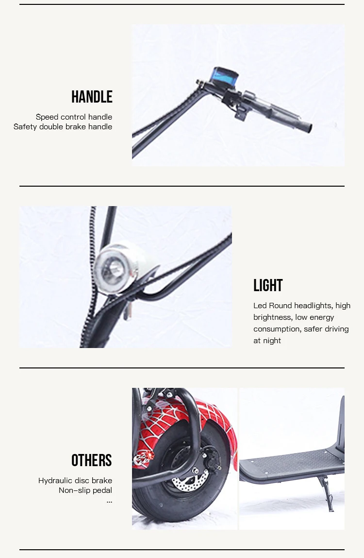 New Design 2 Wheels Citycoco 2000W With Head Light