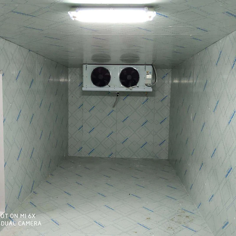product-PHARMA-Freezing Temperature of-45C Container Cold Room-img