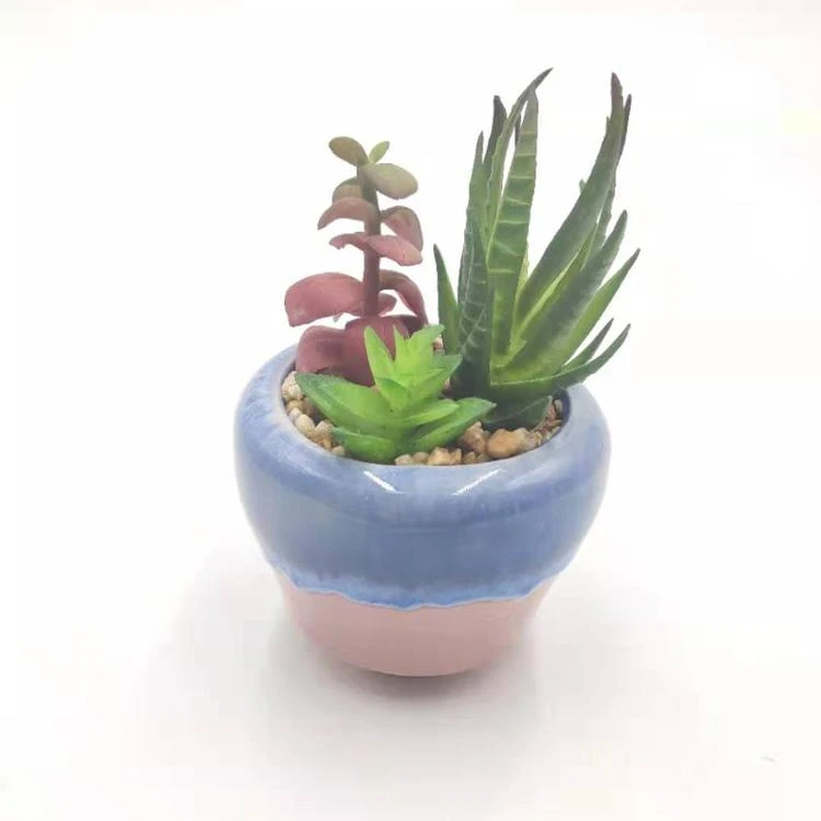 

High Simulation Artificial Succulent Bonsai Indoor Decorative Mini Faux Succulent Potted, Green