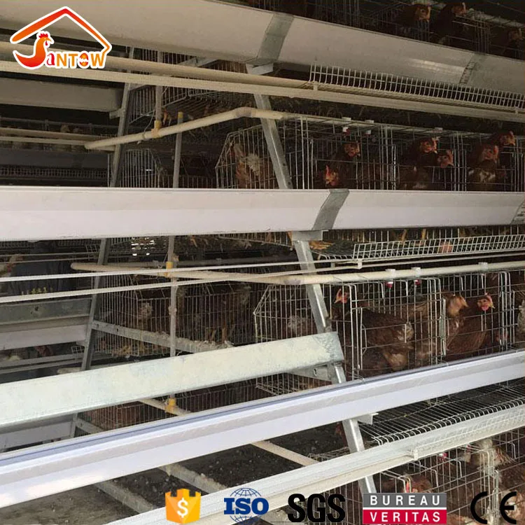 alta corral granja de jaulas de pollo automático para gallinas