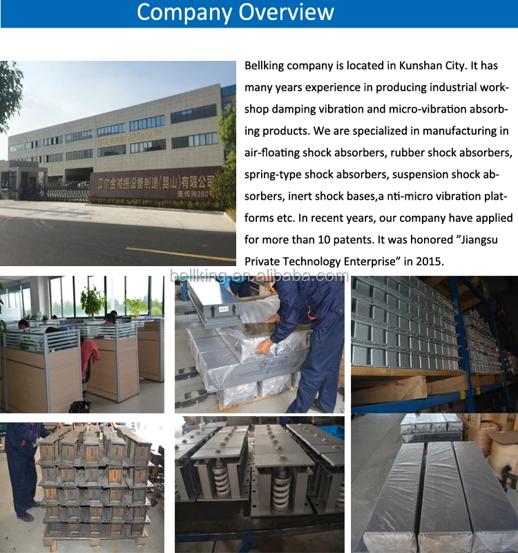company overview.jpg