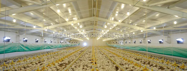 High quality heat proof odisha layer egg chicken cage/ poultry farm house design trusses for sale