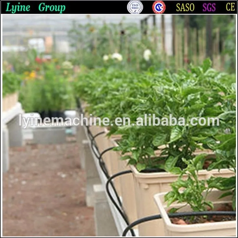 Deep Water Culture dutch bucket hydroponics growing systems (8).jpg