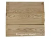 Ash Lasenj Manchurian White ash from Russia