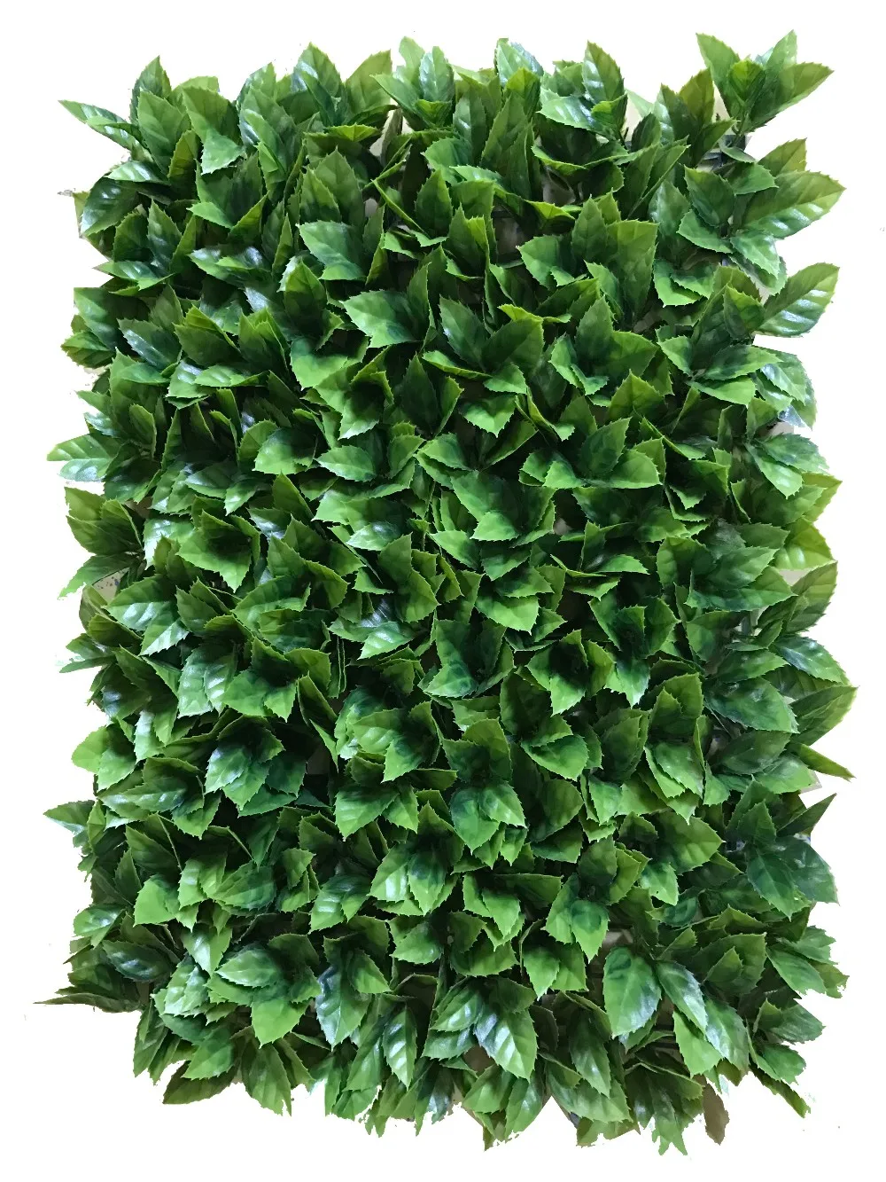 vertical green wall on Cheap Vertical Garden Green Wall Artificial Green Wall Fence For Garden Outside Decoration Buy Artificial Green Wall Plastic Green Wall Vertical Garden Green Wall Product On Alibaba Com