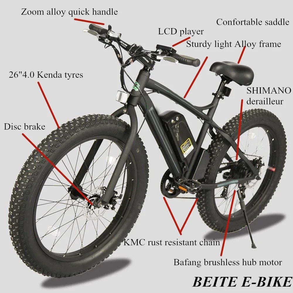 Electric fat bike with Tektro hydraulic brake, big power ebike