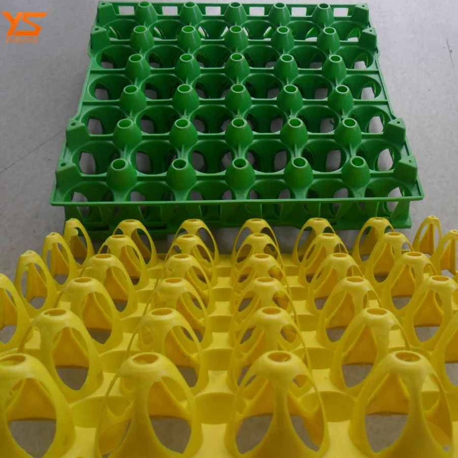 
Wholesale 30 Cells Plastic Eco-Friendly Egg Tray 