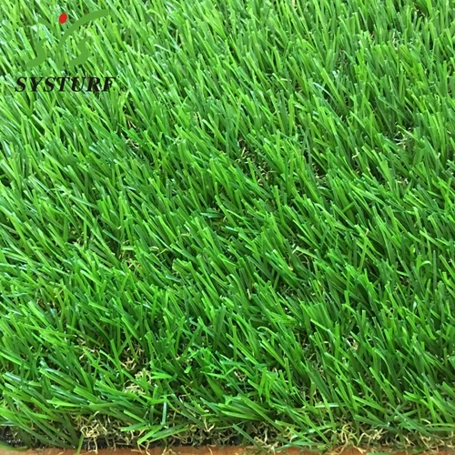 ALOE-35T4...jpg