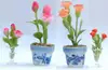 Miniature Rose, Carnation Scale 1: 12 (1 / 12) And Scale 1: 24 (1 / 24)