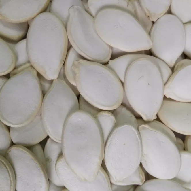2016 snow white pumpkin seeds.jpg