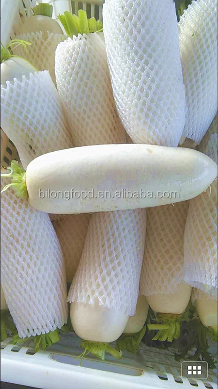 
2019 new crop fresh white raddish 
