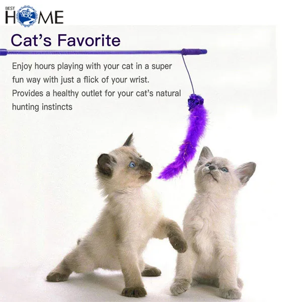 Bulk Interactive Assortments Variety Cat Toys Pack For Catnip Buy Cat