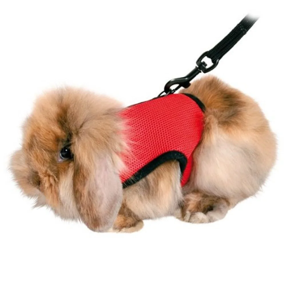 Padded Safety Soft Chest Harness With Fully Elastic Leash Small Pet