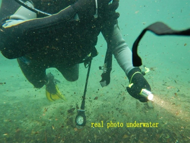 led diving torch.jpg
