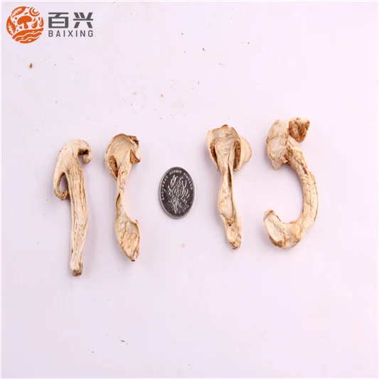 
Wild dried tricholoma matsutake for wholesale 