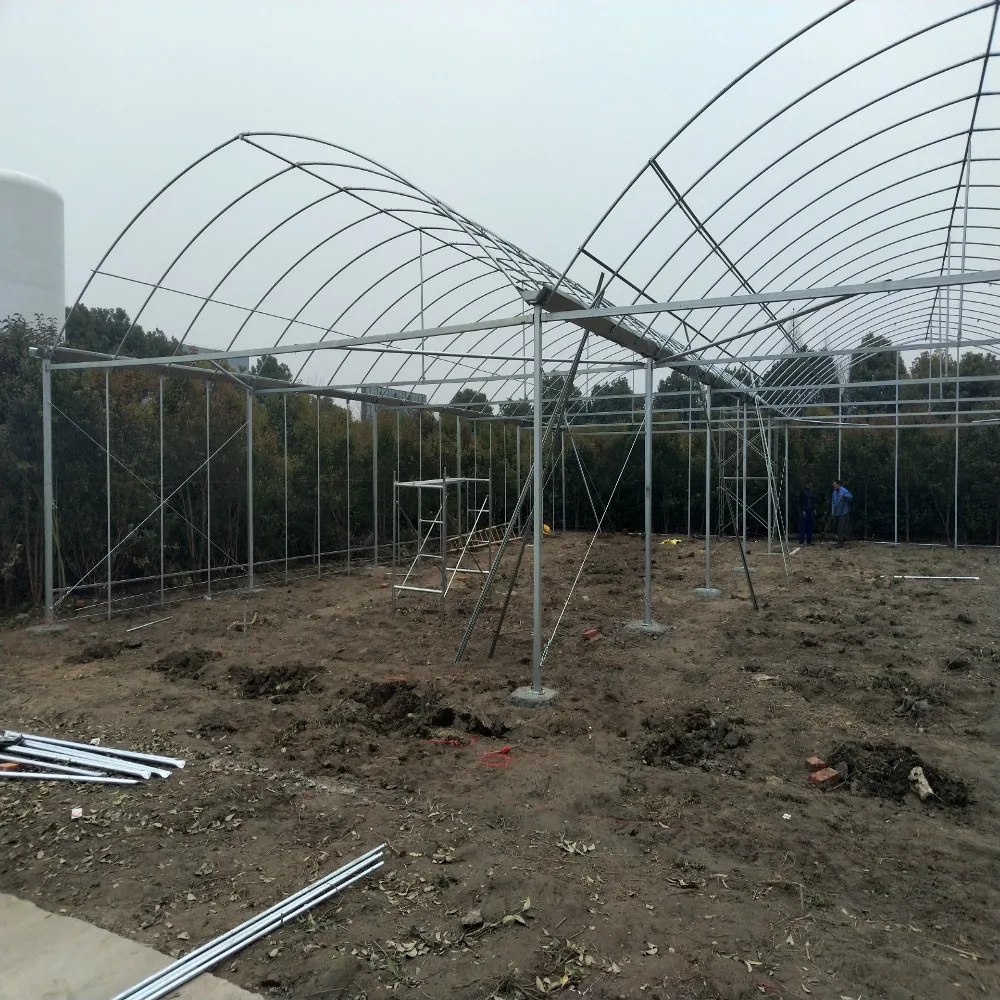 Double Layer Inflated Poly Film Greenhouses Buy Green House Panels