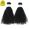 Cuticle aligned virgin human hair curly braiding india hair vendors