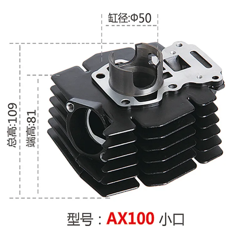 AX100 .jpg