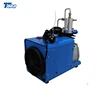 Double cylinder pump 4500psi pcp piston mini electric portable 220v 12v air compressor gun