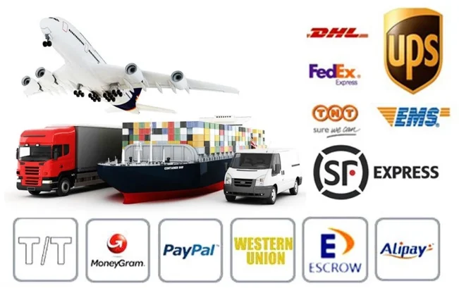 paste-pic-dp_uuid_r1nnj