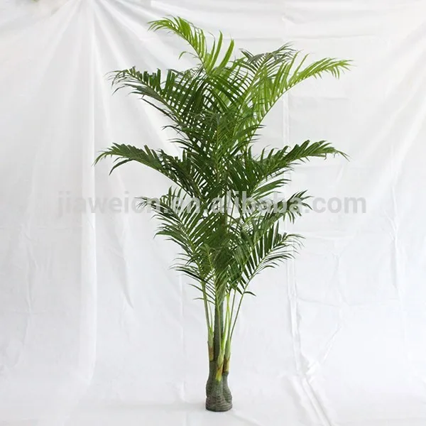 Make Life Size Indoor Artificial Palm Trees Sale Buy Make Indoor