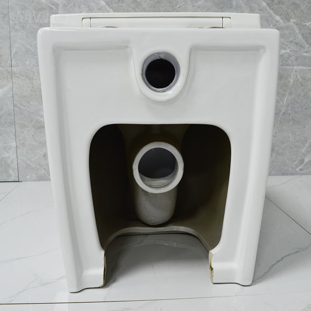 Watermark Rimless Back To Wall Floor Mounted Toilet With Close Seat