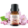 atomizer defuser diffuser box candle combustible eucalyptus flower forsythia fennel sassafras craft bracelet essential oil