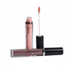 Private Label Lip Frosted Tube Lipstick Liquid Multicolor Lipgloss