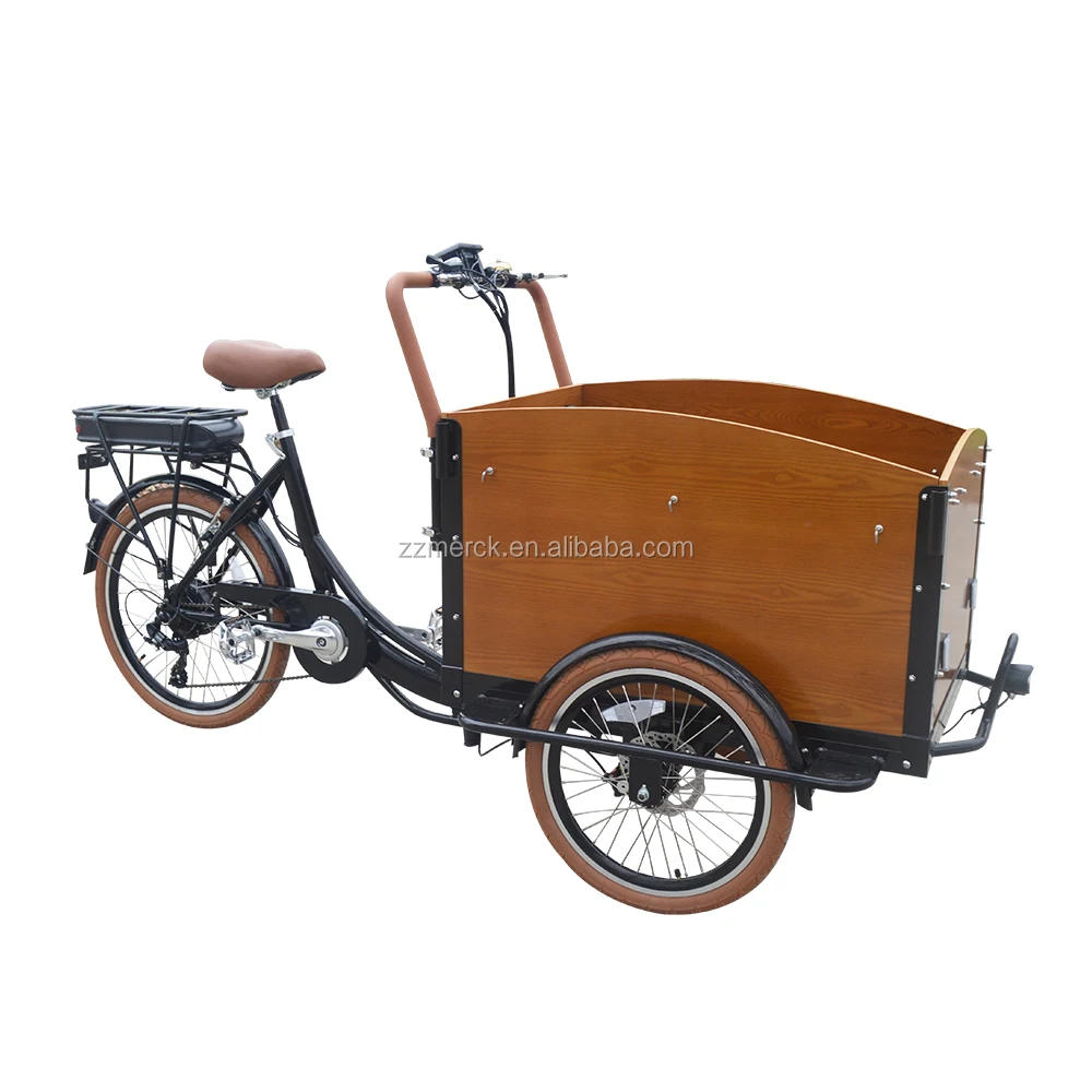 

Typical Family Kids and Pets Transportation Lithium Battery Pedelec Cargo E Trikes