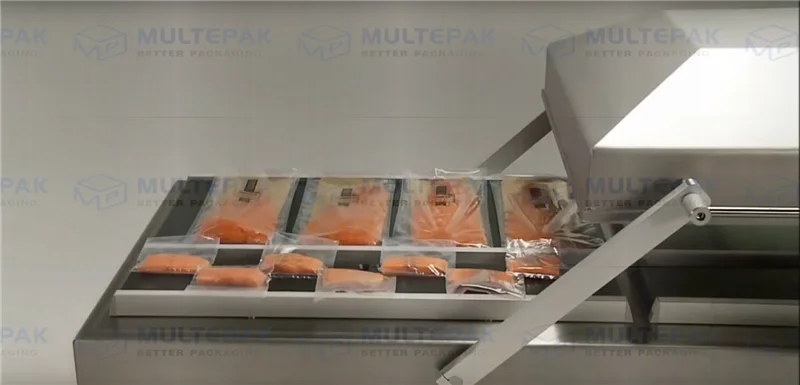 12 kinds vacuum packaging machine for food from 1 click