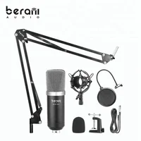 

Berani High sensitive studio microphone condenser microphone bm 800