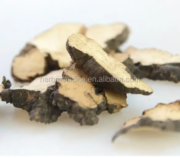 
Dried natural Grifola wild Polyporus umbellatus whole part use as herbal medicine sulphur free 