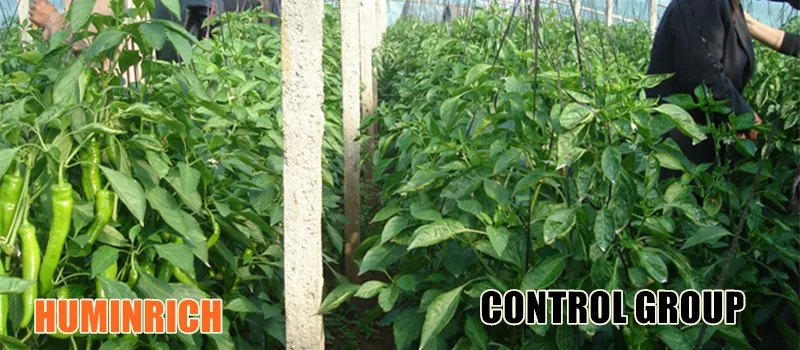 Humic Acid Powder.jpg