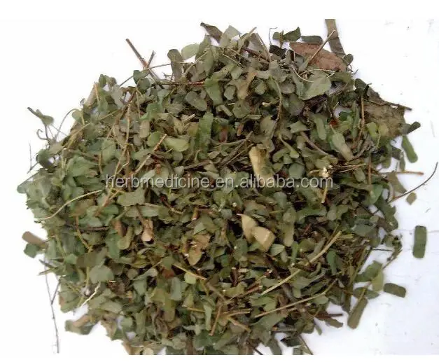 
Abrus Herb from Abrus cantoniensis Hance dried whole parts,herb medicine 