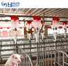 /product-detail/pig-feed-dispenser-for-automatic-feeding-system-60707685903.html