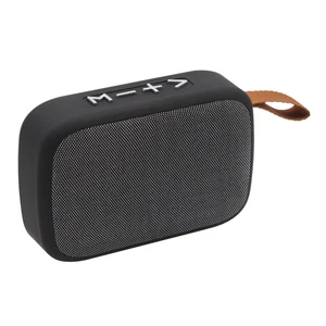 Large Speaker