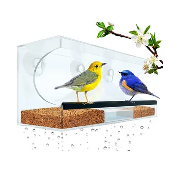 High Quality Power Suction Cups And Drain Acrylic Window Bird Feeder