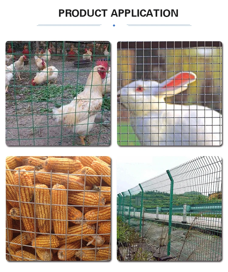 Aisi304 316 Stainless Steel Welded Wire Mesh Galvanized Rabbit Cage 