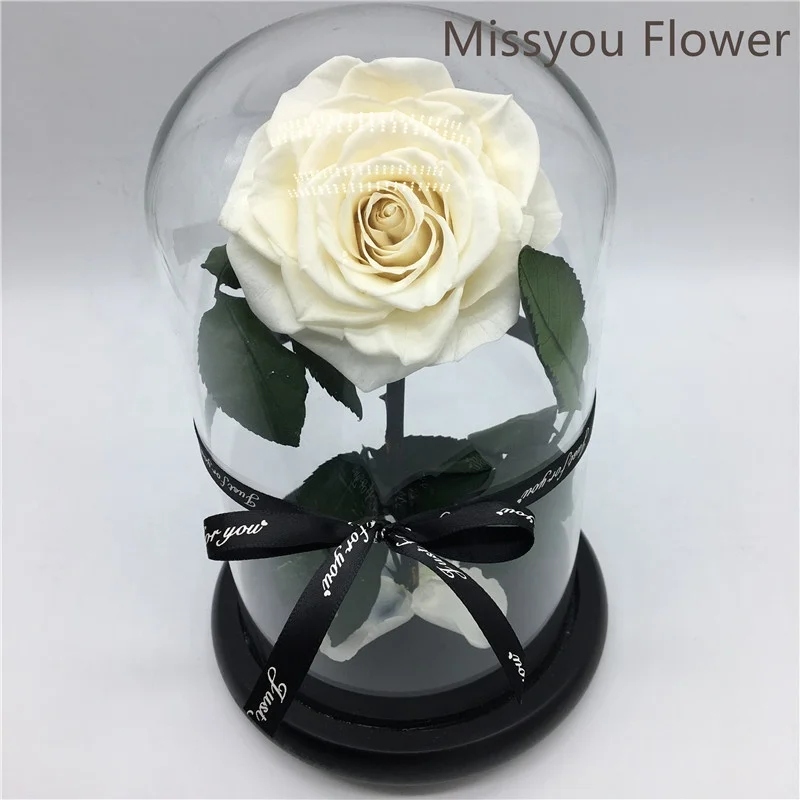 Wholesale White Color Preserved Roses Flowers In Dome Glass Long
