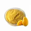 mango pulp powder 100% organic organic dry mango powder