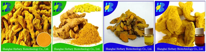 curcuma per la prostata