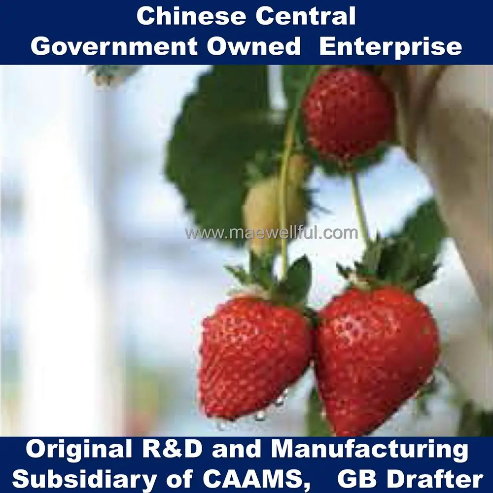 
Stereoscopic cultivation system for strawberry 