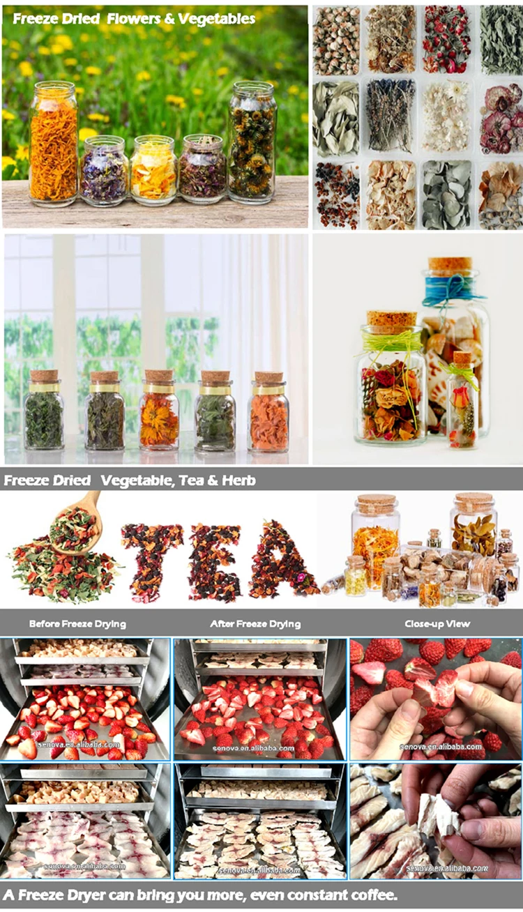 DETAILS-HF400_FOOD1 (1)-2.jpg
