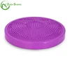 Zhensheng 13Inch PVC Message Yoga Balance Disc with Color Box