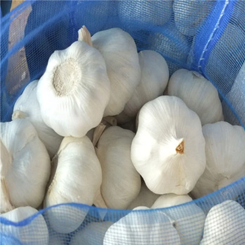 
Newest crop aglio ajo thai garlic from peru in fresh asian vegetables 
