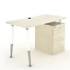 Modern office secretary desk table with privacy panel