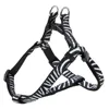 Dog Harness Teal,Dog Harness To Carry,Dog Harness To Stop Pulling